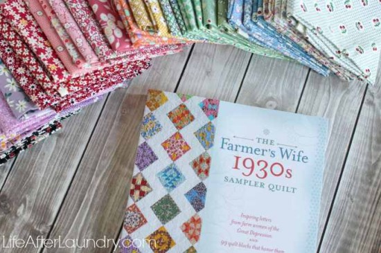 The Farmers Wife 1930s Sampler Quilt