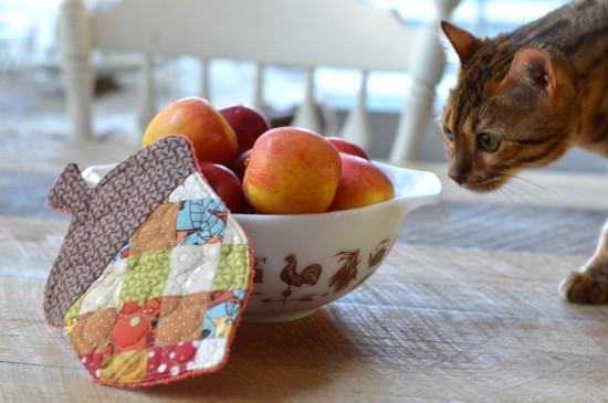 Acorn Potholder Pattern