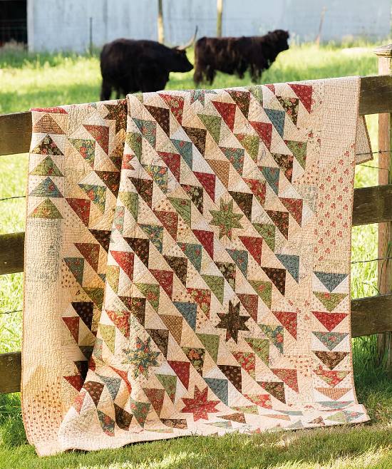 Miss Rosie's Farmhouse Favorites: 12 Captivating Scrappy Quilts