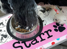 Treat a Favorite Pet to Their Own Place Mat