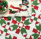 Peppermint Christmas Table Topper Pattern