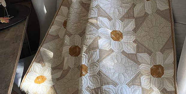 Cotton Daisies Quilt Pattern — Laugh Yourself Into Stitches