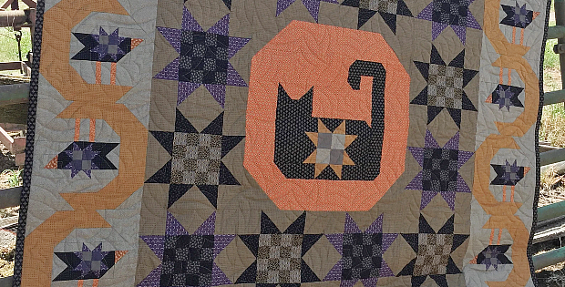 The Crow's Meow Quilt Pattern