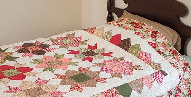 Briar Patch Quilt Pattern