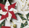 Christmas Star Ornament Pattern