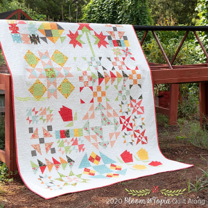 Create a Lovely Quilt from Sampler Blocks - Quilting Digest