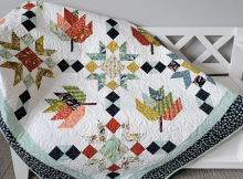 Autumn Falling Quilt Patterrn