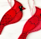 Cardinal Bird Pattern