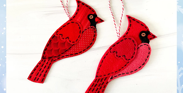 Cardinal Bird Pattern
